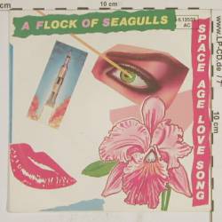 A Flock Of Seagulls : Space Age Love Song